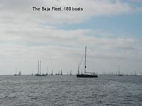 180 boats at anchor